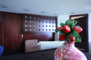 IMG_6850